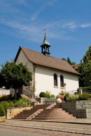 Quelle: Homepage Allensbach